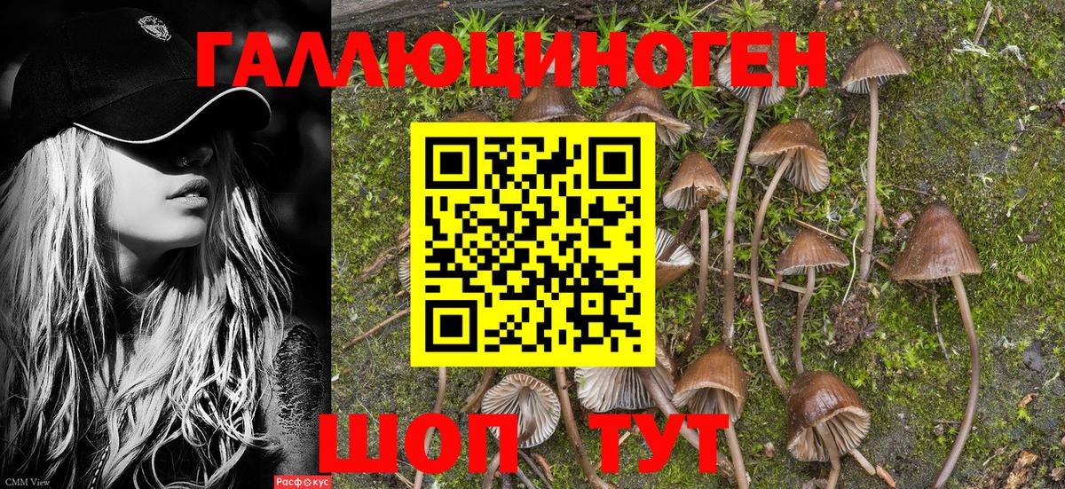 Псилоцибиновые грибы MAGIC MUSHROOMS  Вход с VPN  Кушва 